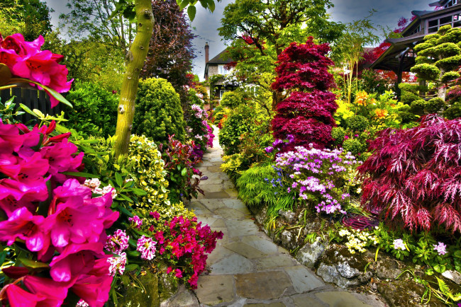 Обои картинки фото природа, парк, цветы, кусты