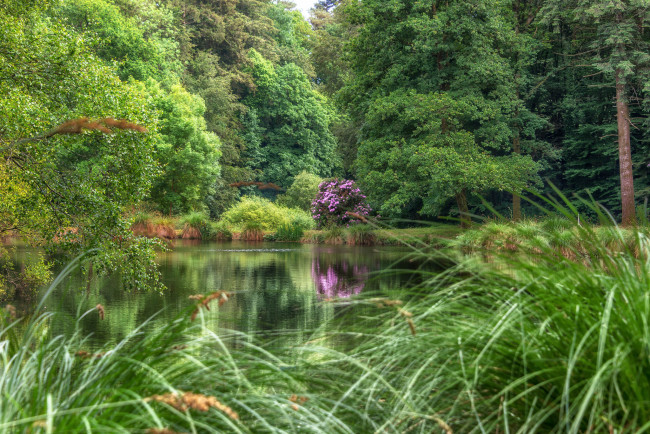 Обои картинки фото природа, реки, озера, простор