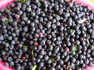 Картинка еда голубика +черника черника