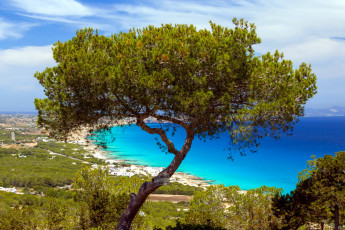 Картинка природа побережье залив