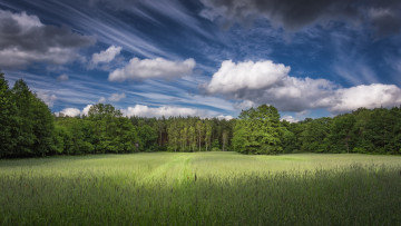 Картинка природа пейзажи простор