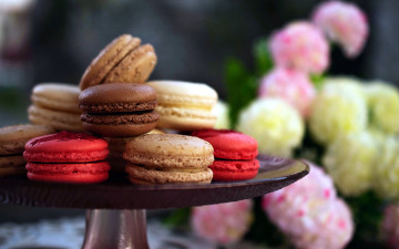 Картинка еда макаруны печенье лакомство