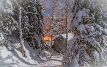 Картинка природа зима деревья снег