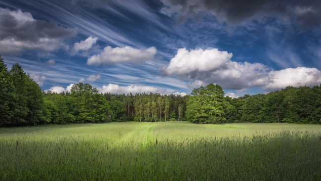 Обои картинки фото природа, пейзажи, простор