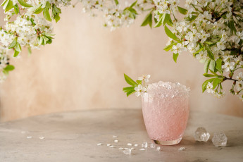 Картинка еда натюрморт лёд