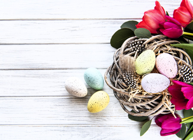 Обои картинки фото праздничные, пасха, яйца, гнездо, перья, листья, цветы, тюльпаны