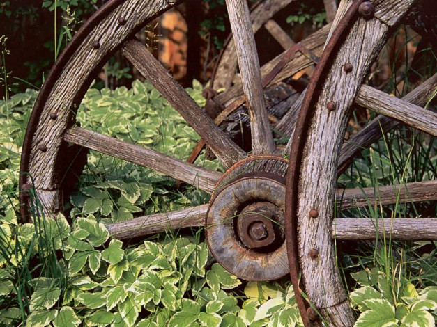 Обои картинки фото разное