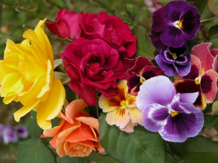 Картинка цветы разные вместе