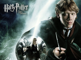 Картинка кино фильмы harry potter and the order of phoenix