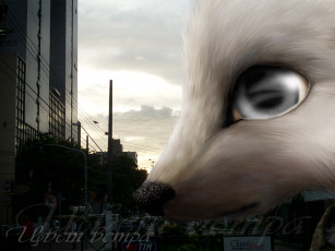 Картинка разное компьютерный дизайн