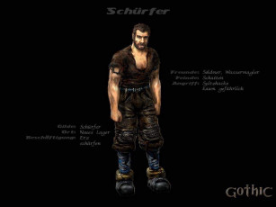 Картинка видео игры gothic