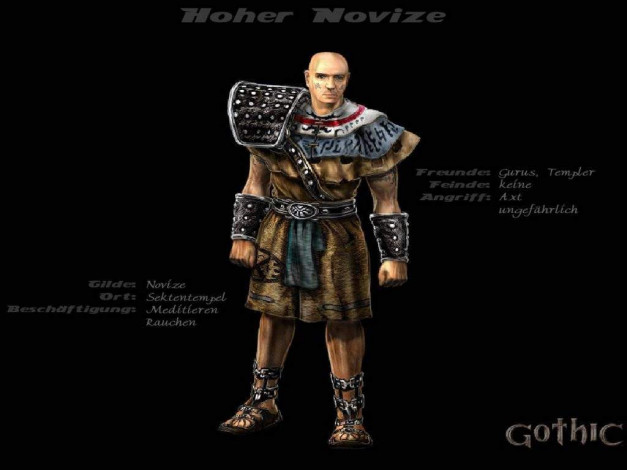 Обои картинки фото видео, игры, gothic