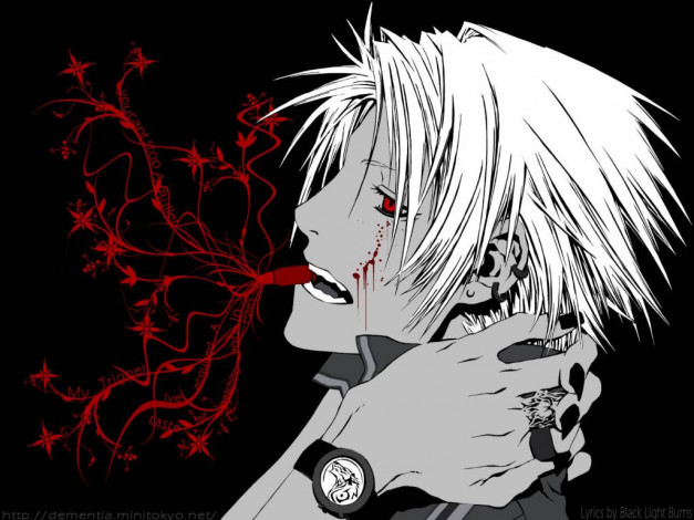 Обои картинки фото аниме, dogs, bullets, carnage