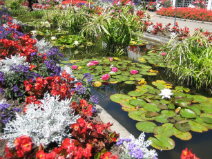 Картинка цветы разные вместе