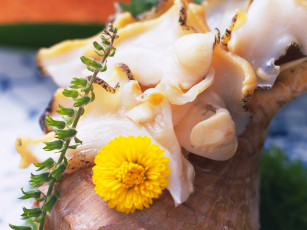 Картинка еда рыба морепродукты суши роллы