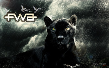 Картинка бренды