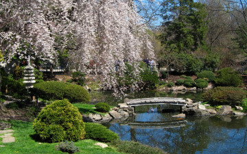 Картинка природа парк