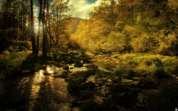 Картинка природа пейзажи