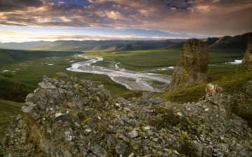 Картинка природа пейзажи