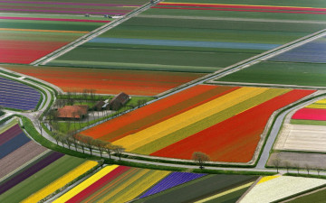 Картинка природа поля