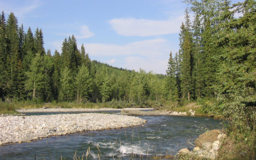 Картинка природа реки озера