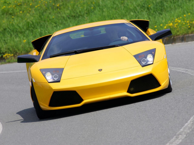 Обои картинки фото автомобили, lamborghini