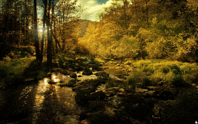 Обои картинки фото природа, пейзажи