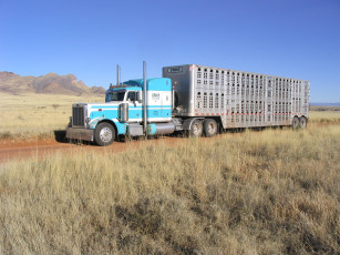 Картинка автомобили peterbilt