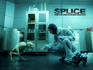 обоя splice, кино, фильмы