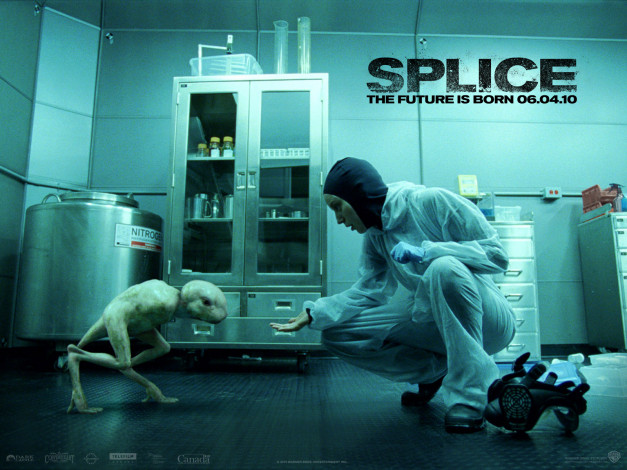 Обои картинки фото splice, кино, фильмы