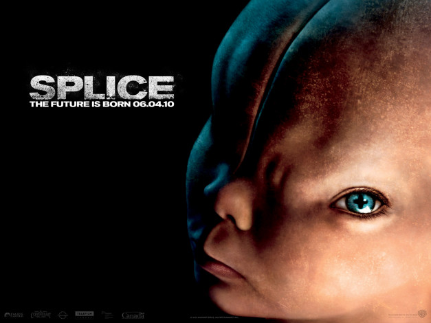 Обои картинки фото splice, кино, фильмы