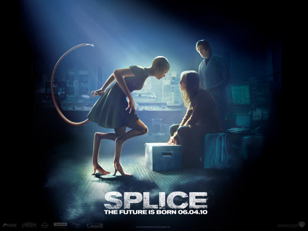 Обои картинки фото splice, кино, фильмы
