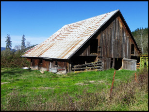 Картинка разное сооружения постройки лето трава сарай