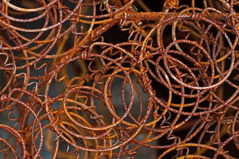 Картинка разное текстуры кольца ржавчина проволока