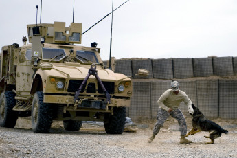 Картинка техника военная