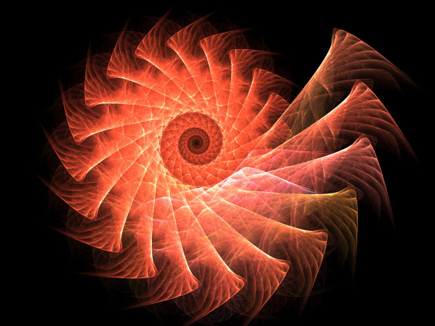Обои картинки фото 3д, графика, fractal, фракталы, узор, цвета, фон