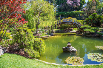 Картинка калифорния+сан+марино природа парк пруд сад сан марино калифорния кусты деревья цветы