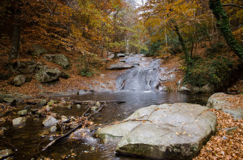 Картинка природа реки озера листва камни ручей лес осень
