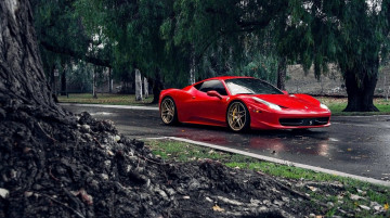 Картинка автомобили ferrari лес дорога красный феррари