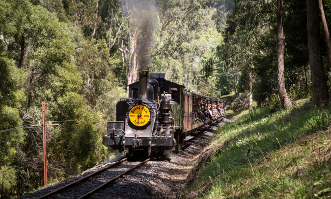 Обои картинки фото техника, паровозы, паровоз, железная, дорога, рельсы