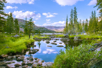 Картинка природа реки озера река лес