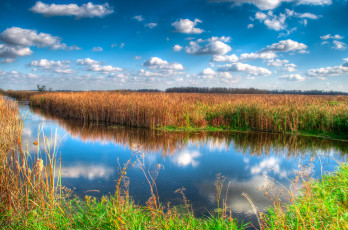 Картинка природа реки озера река лес