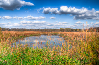 Картинка природа реки озера река лес