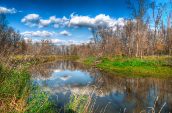 Картинка природа реки озера река лес