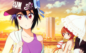 Картинка аниме nisekoi девушка