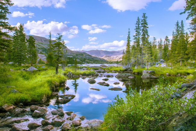 Обои картинки фото природа, реки, озера, река, лес