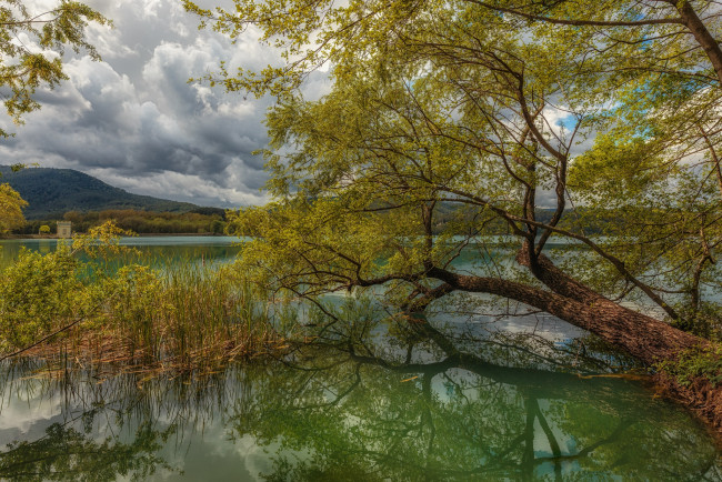 Обои картинки фото природа, реки, озера, река, лес