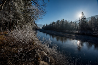 Картинка природа реки озера река лес