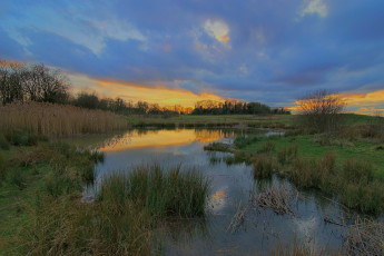 Картинка природа реки озера река лес