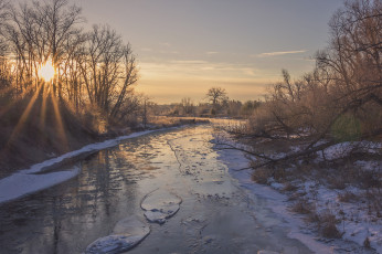 Картинка природа реки озера река лес